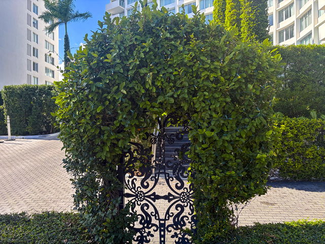 Mondrian South Beach  photo 2